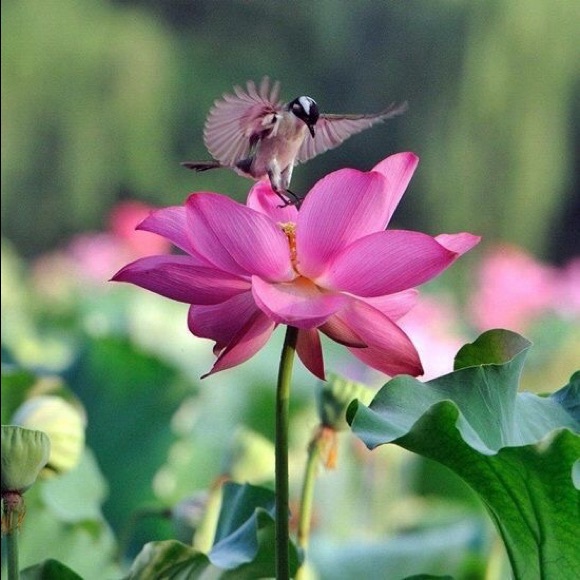 Mother & Daughter Closet makes for more variety💞! - Picture 8 of 12